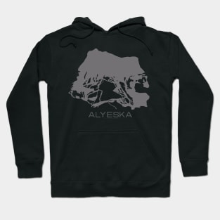 Alyeska Resort 3D Hoodie